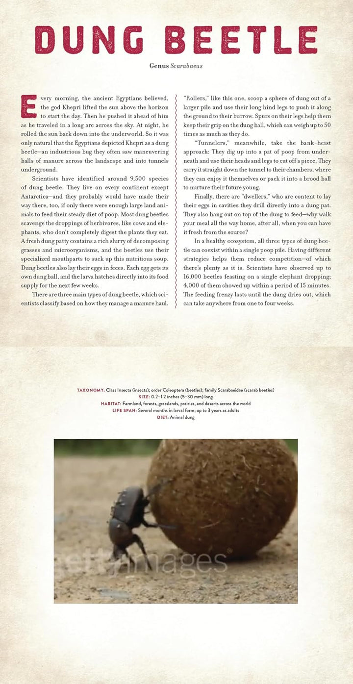 Bugs: A Photicular Book