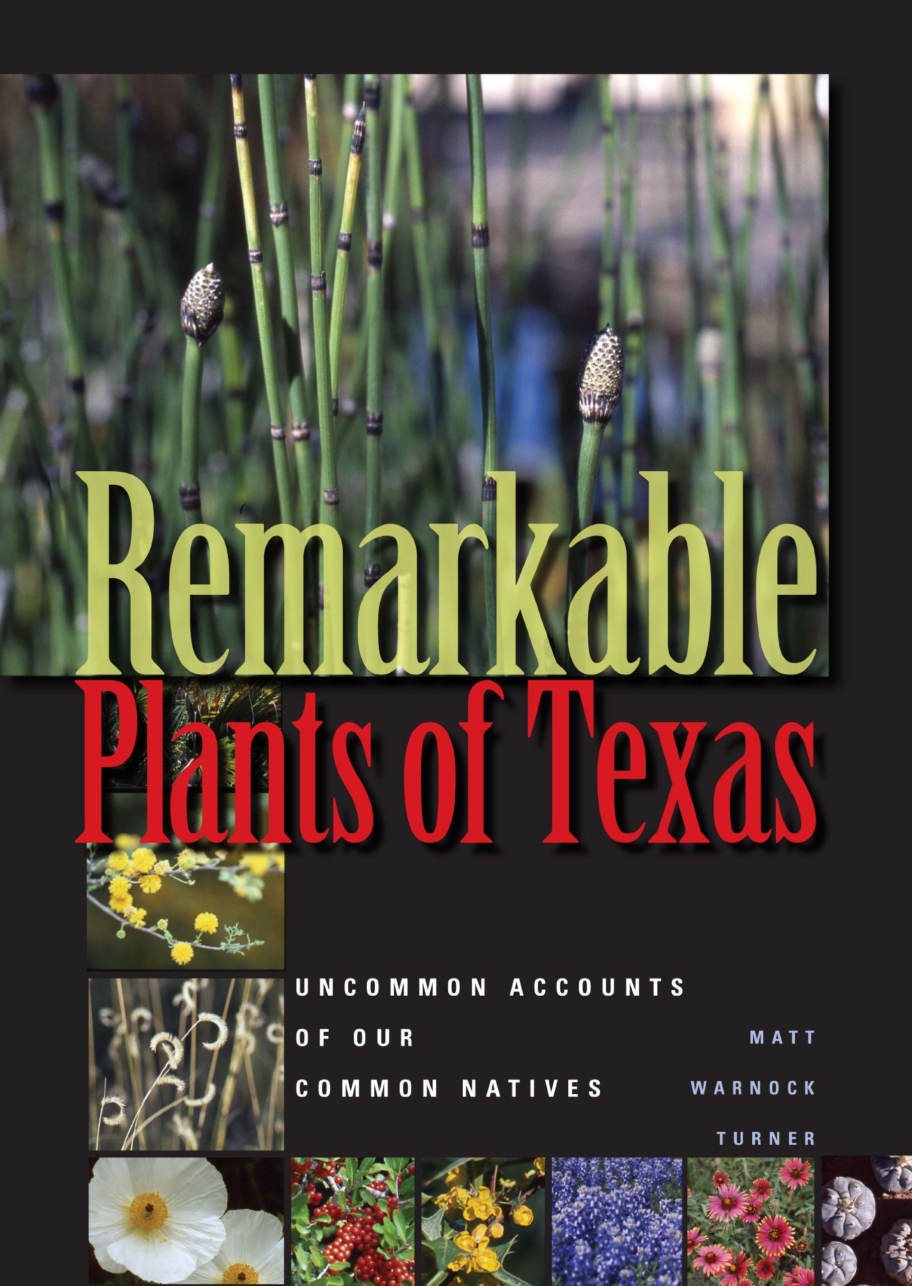 Remarkable Plants of Texas