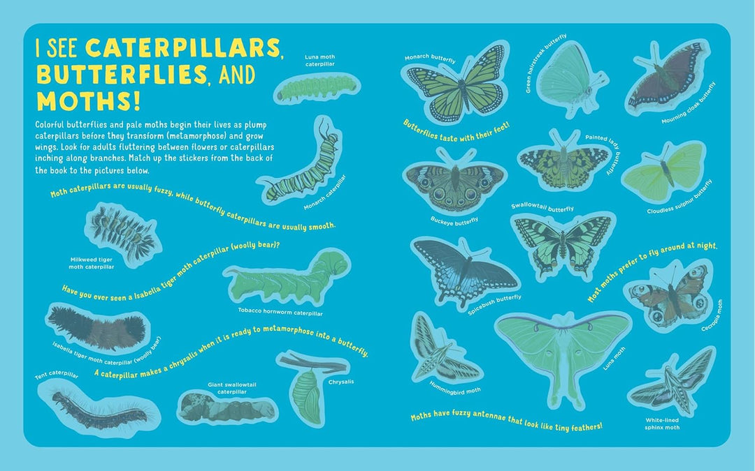 Backpack Explorer Stickers: Bug Adventure- 250 Stickers plus Play & Learn Activities