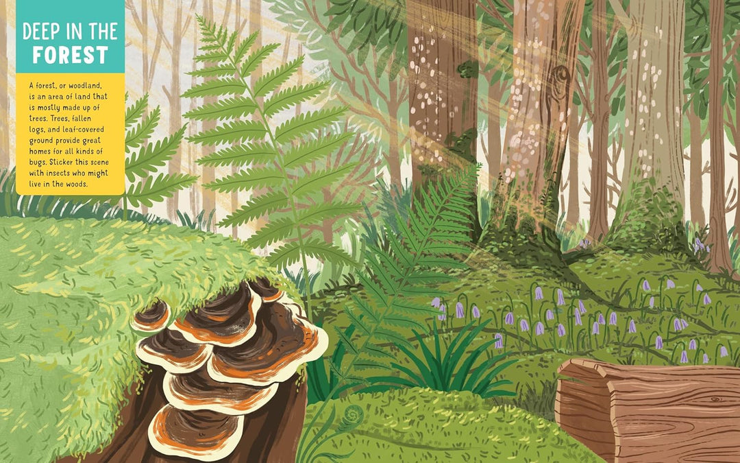 Backpack Explorer Stickers: Bug Adventure- 250 Stickers plus Play & Learn Activities