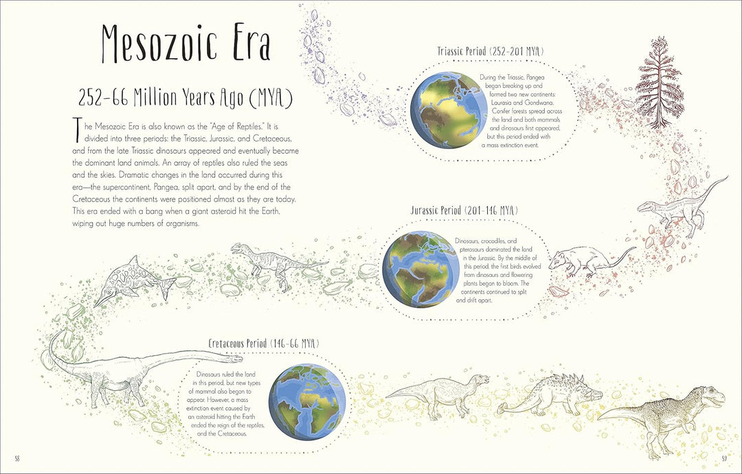 Dinosaurs and Other Prehistoric Life