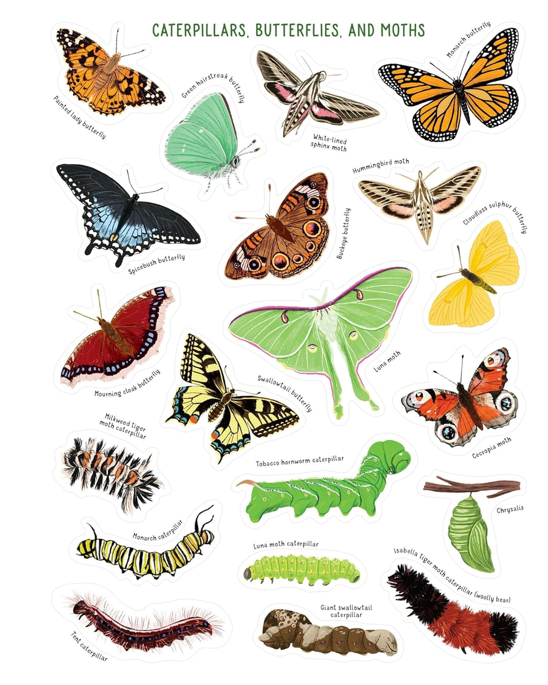 Backpack Explorer Stickers: Bug Adventure- 250 Stickers plus Play & Learn Activities