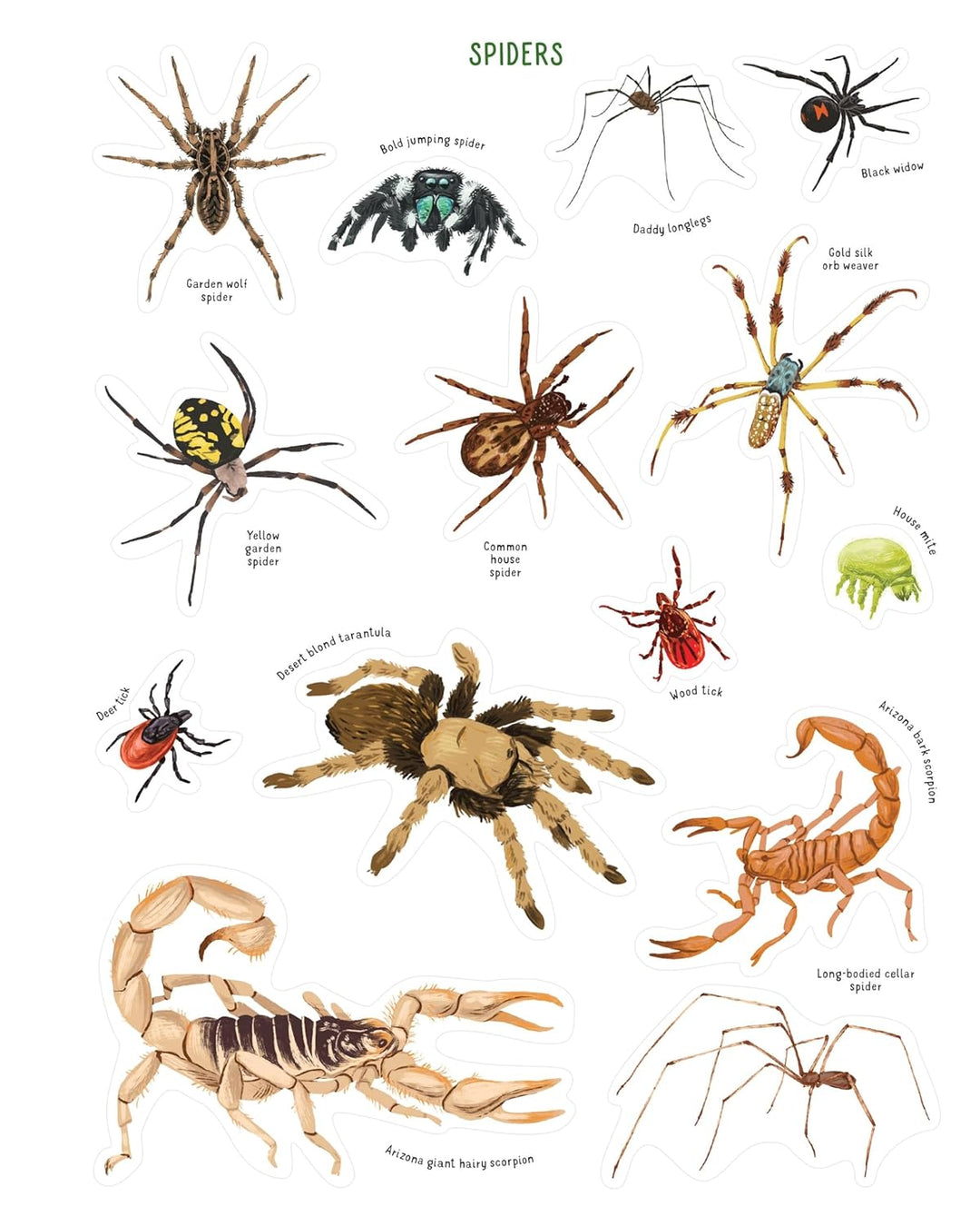 Backpack Explorer Stickers: Bug Adventure- 250 Stickers plus Play & Learn Activities