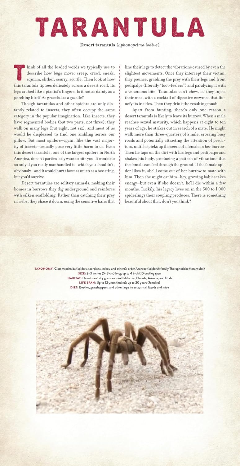 Bugs: A Photicular Book