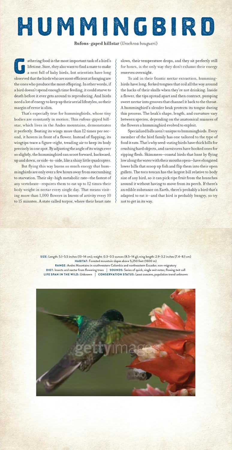 Birds: A Photicular Book