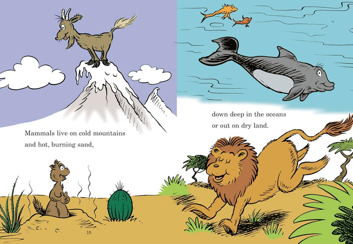 Is a Camel a Mammal?
