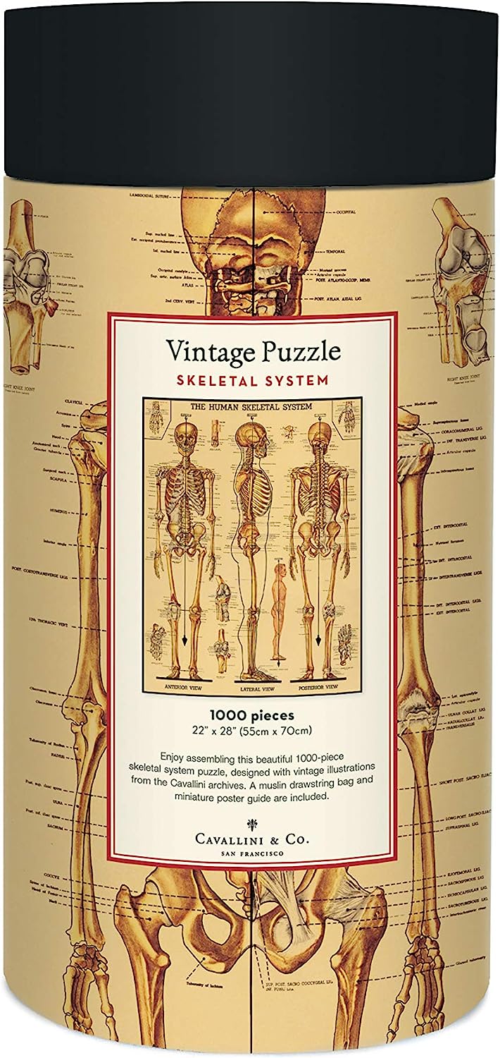 Skeletal System 1000 pc Puzzle