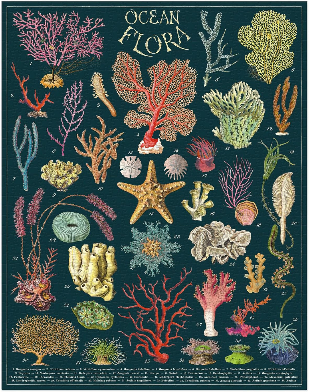 Ocean Flora 1000 Piece Puzzle