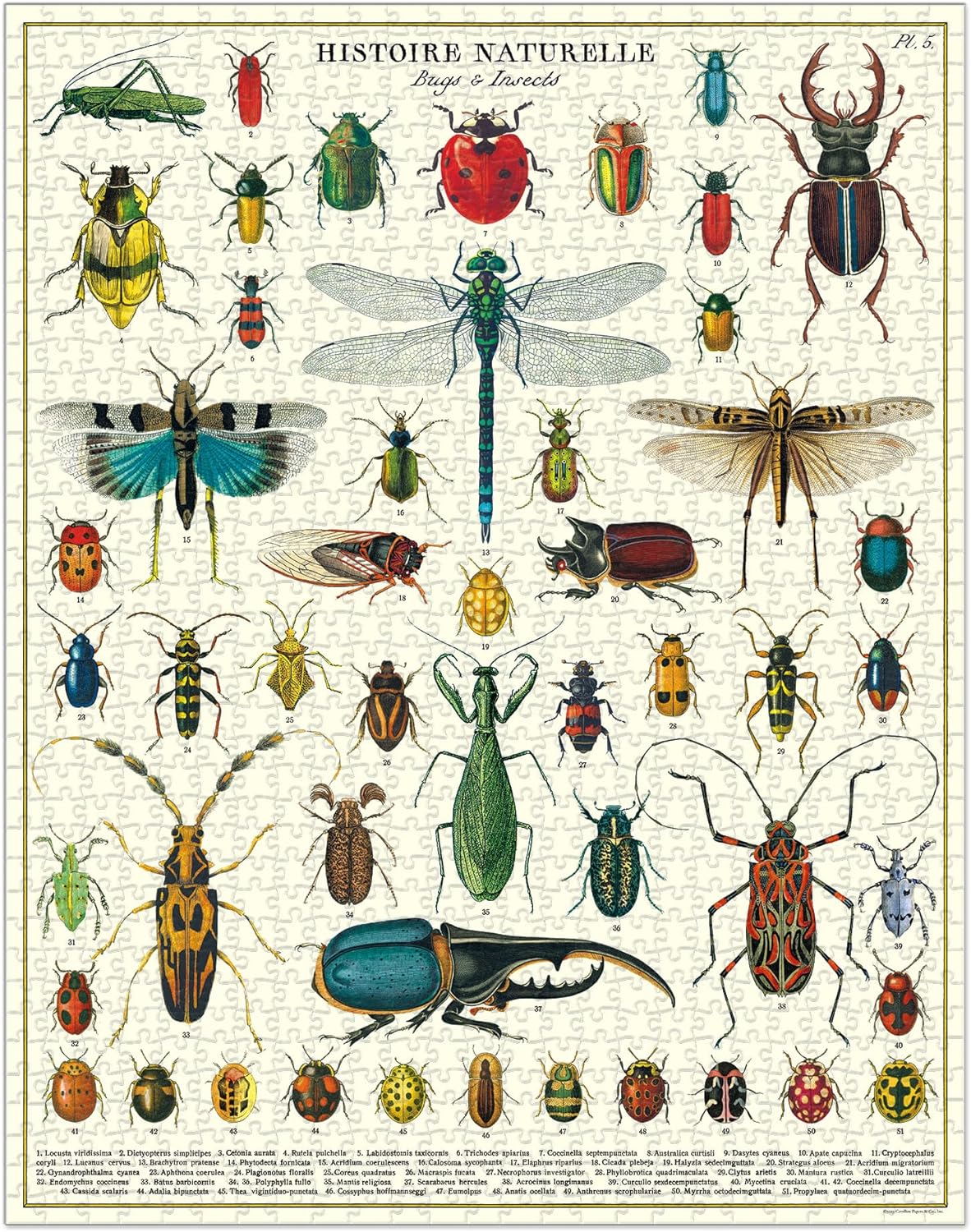 Bugs & Insects 1000 Piece Puzzle