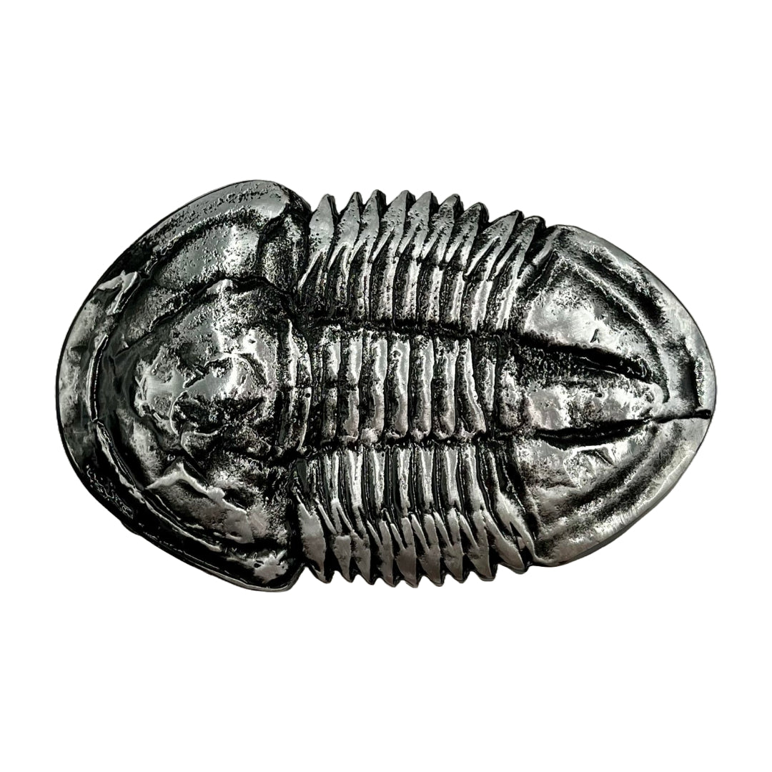 Trilobite and Ceratosaurus Skull Fossil Belt Buckle