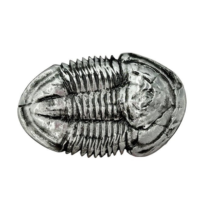 Trilobite and Ceratosaurus Skull Fossil Belt Buckle