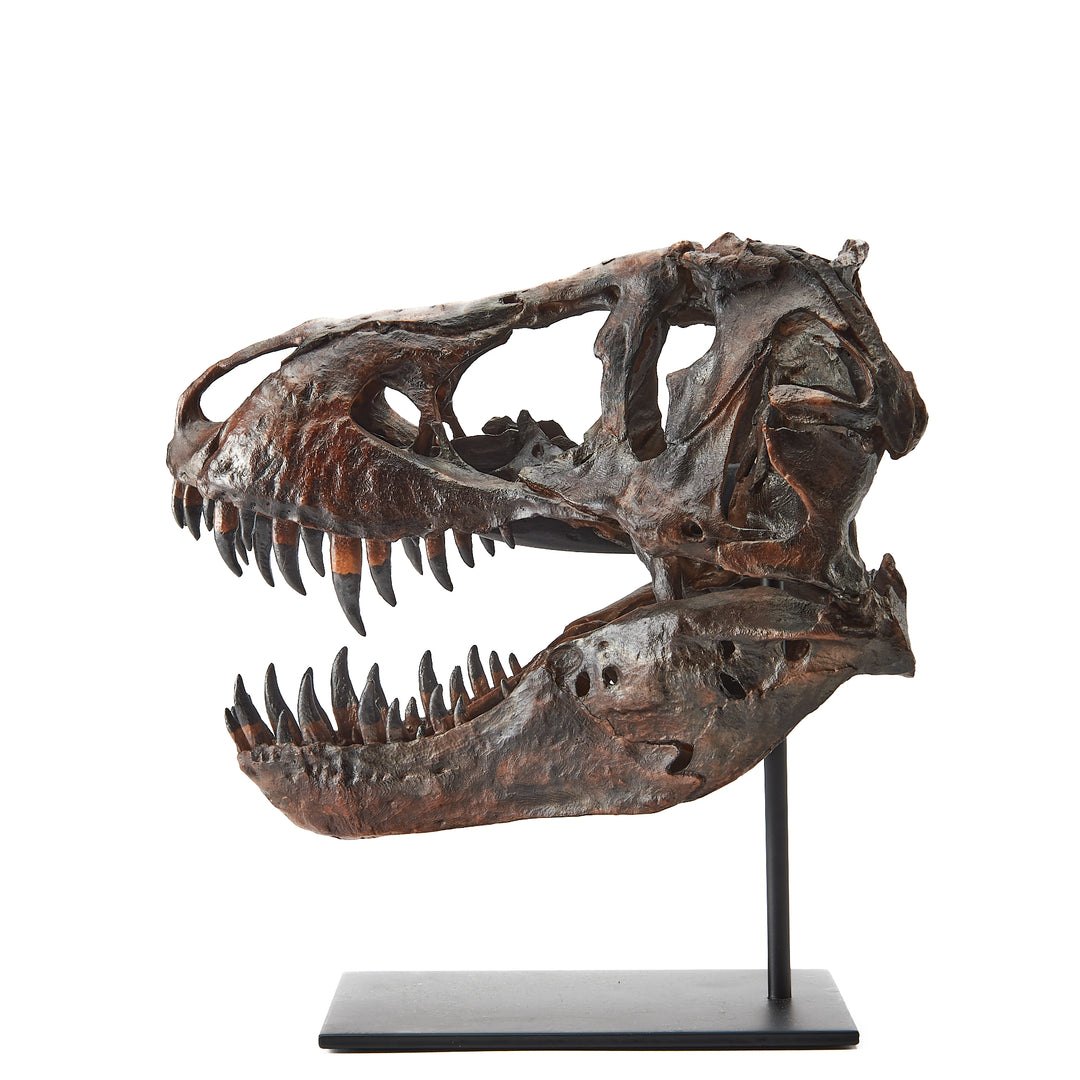 Tyrannosaurus rex Stan Skull Rapid Prototype