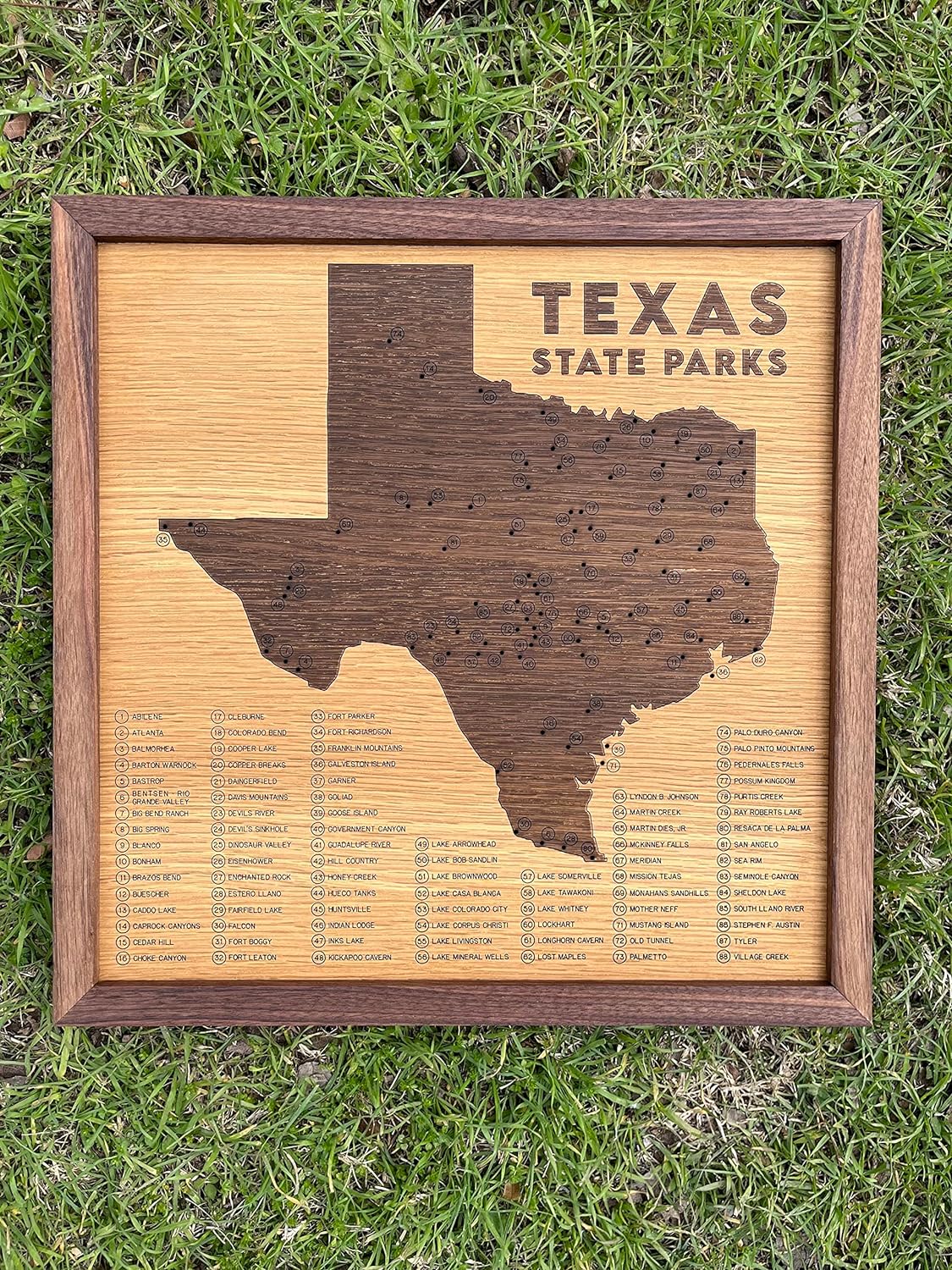 Texas State Park Push Pin Map