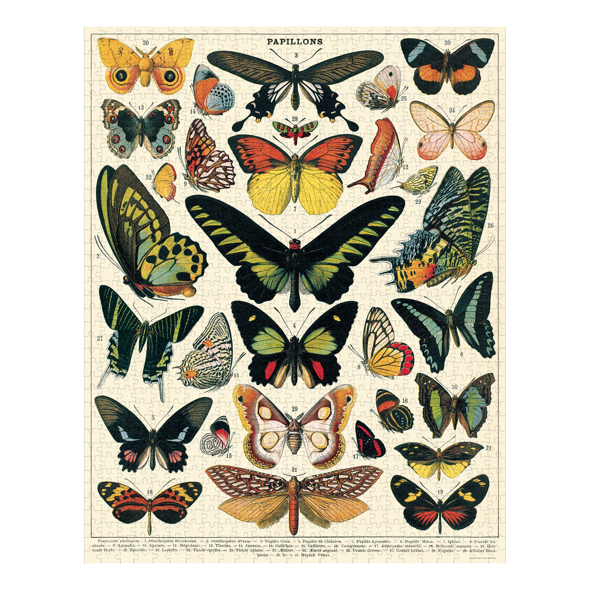 Butterflies, 1000 Piece Puzzle