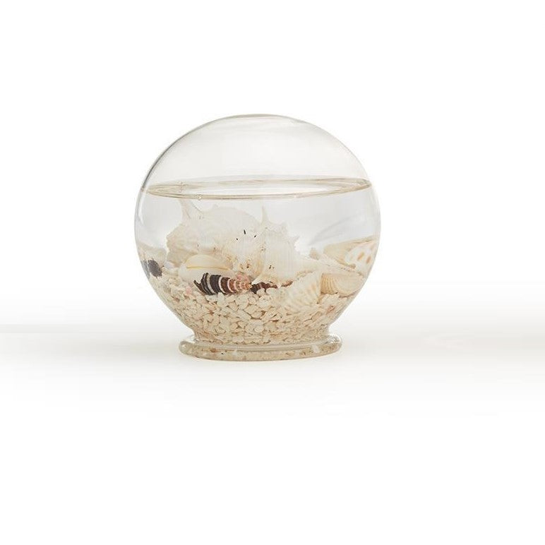 Seashell Globe- Small