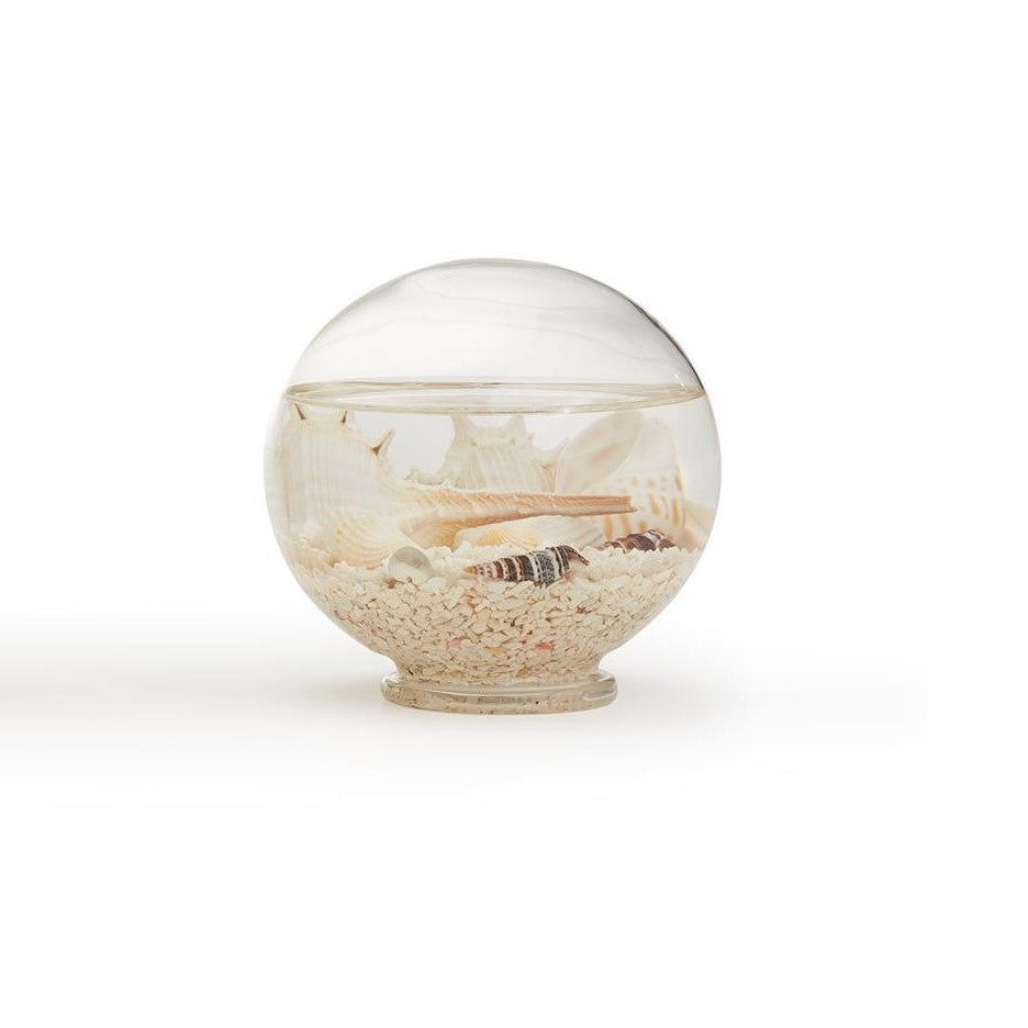 Seashell Globe- Medium