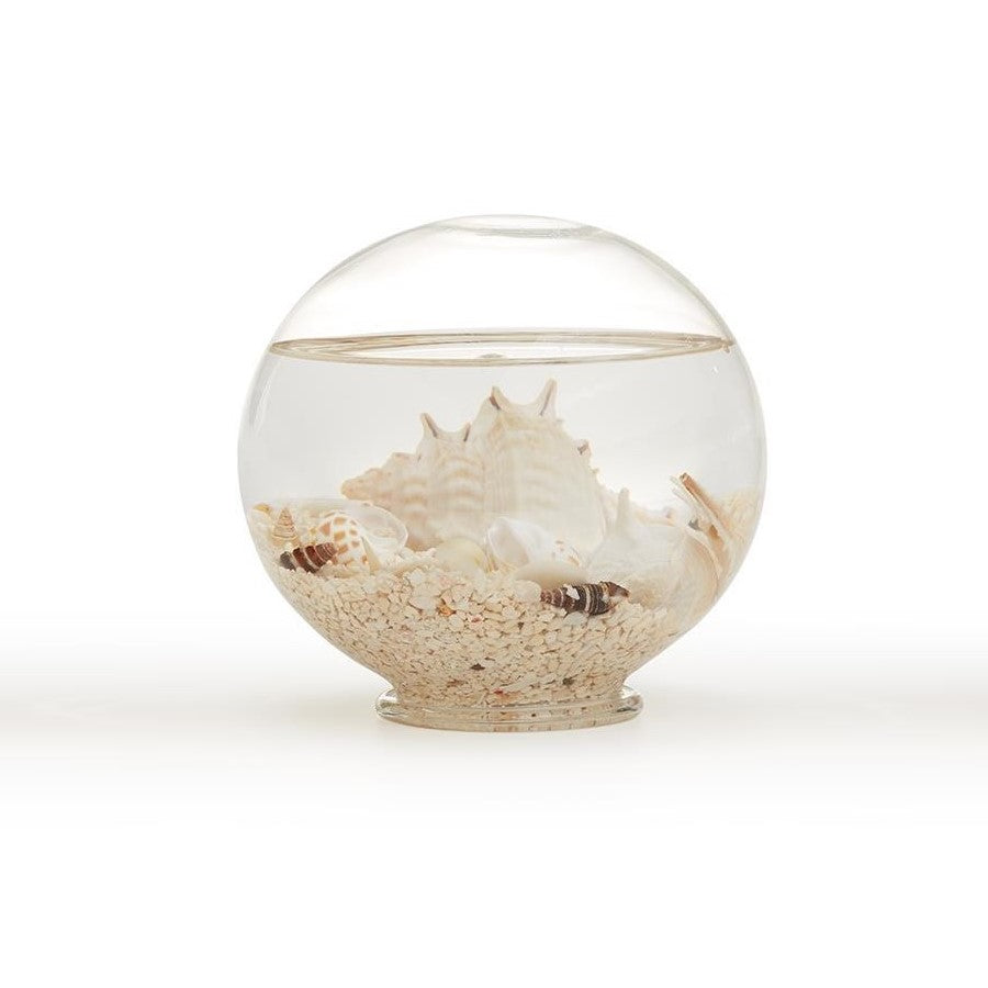 Seashell Globe- Large