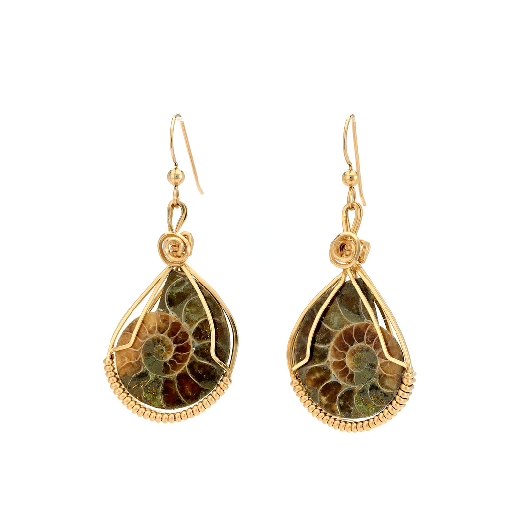 Ammonite 14k Gold-Fill Wire Wrap Earrings