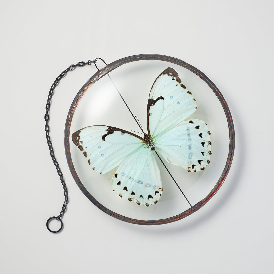 Mint Morpho Butterfly Grande Wall Pendant
