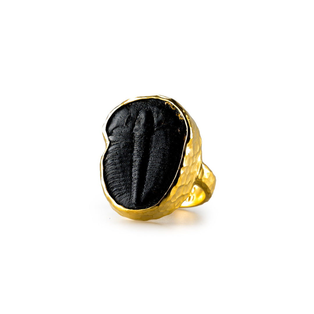 Black Ammonite Ring