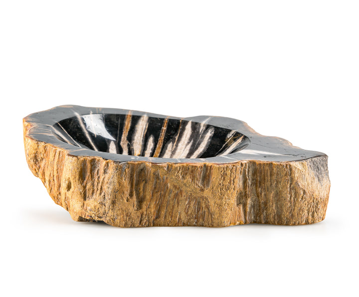 Petrified Wood Bowl