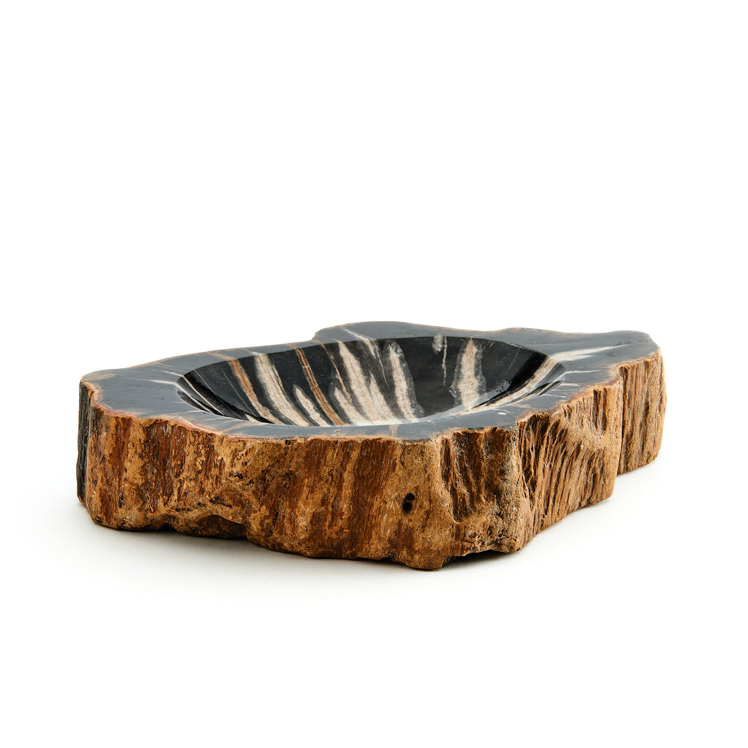 Petrified Wood Bowl