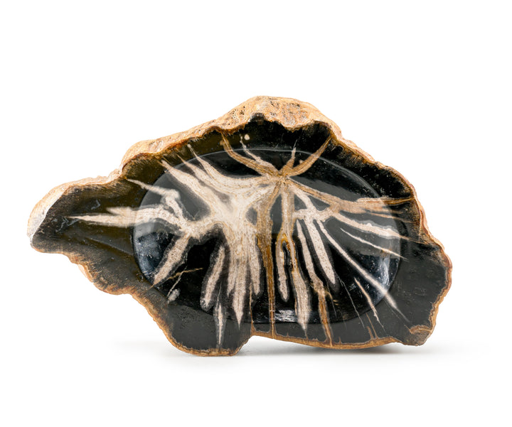 Petrified Wood Bowl