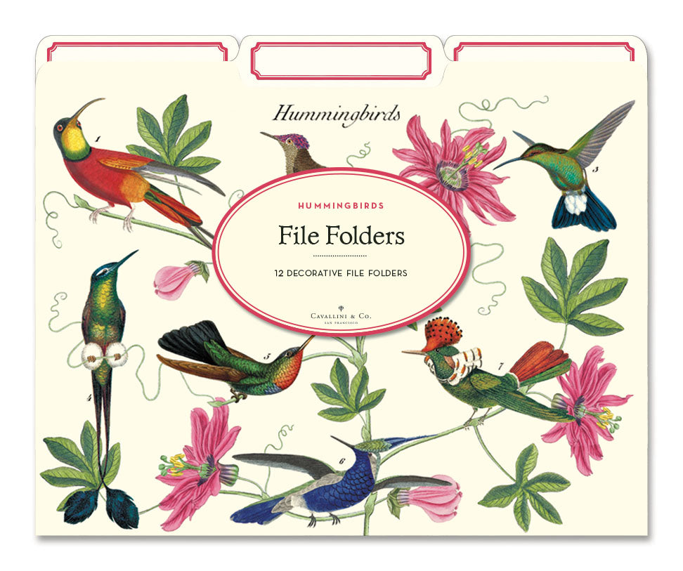 Hummingbirds File Folder