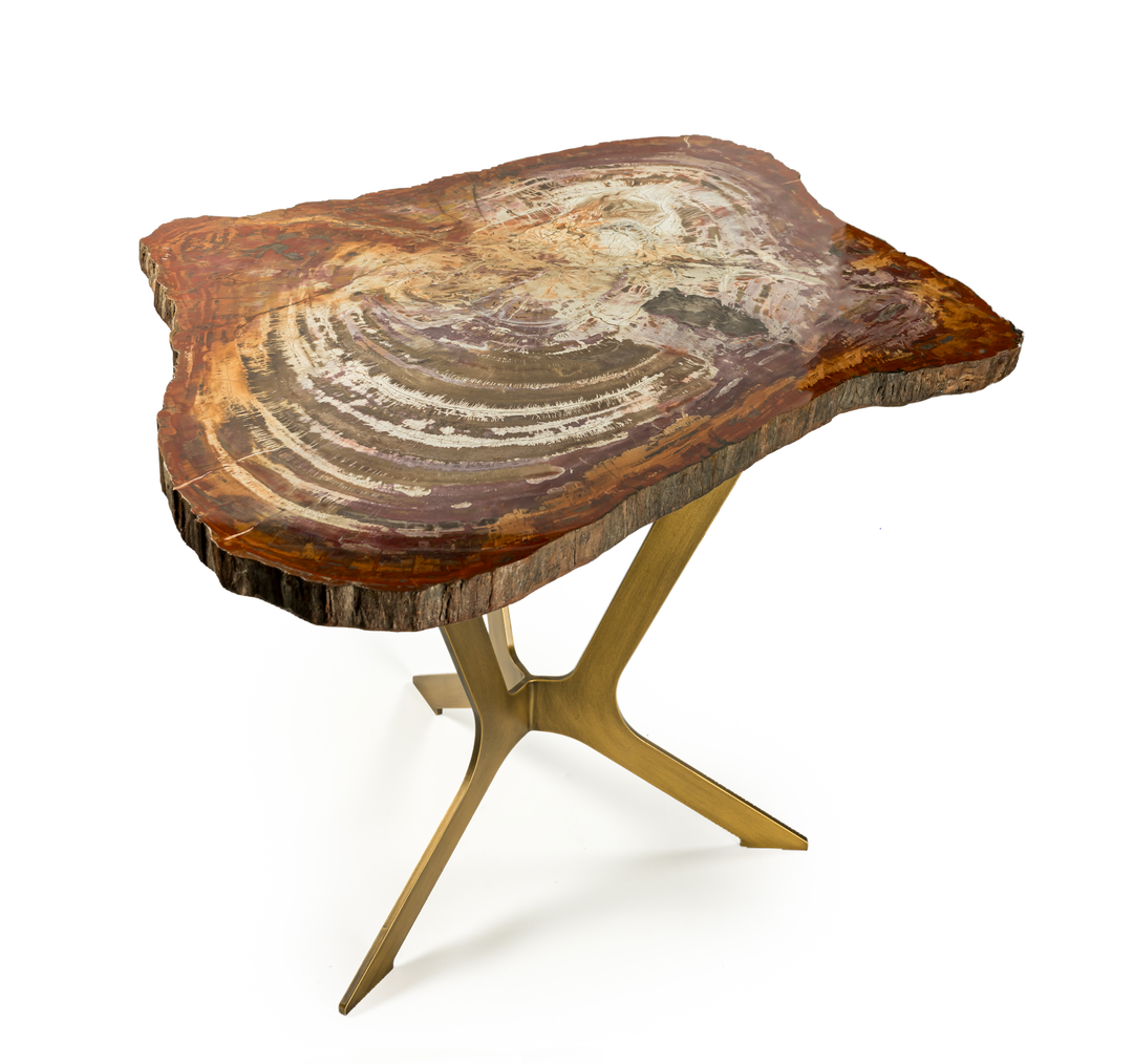 Petrified Wood Table