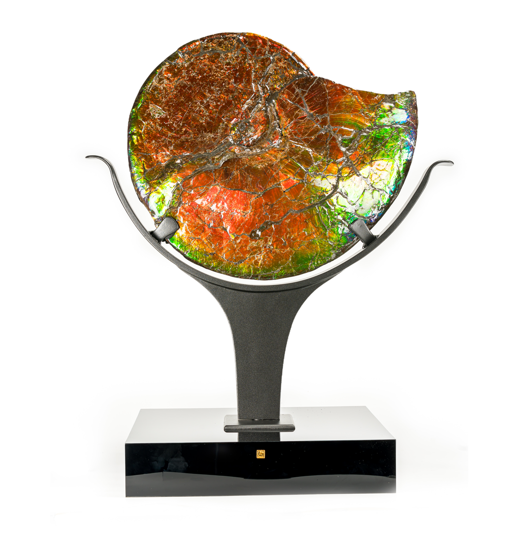 Ammolite on Stand