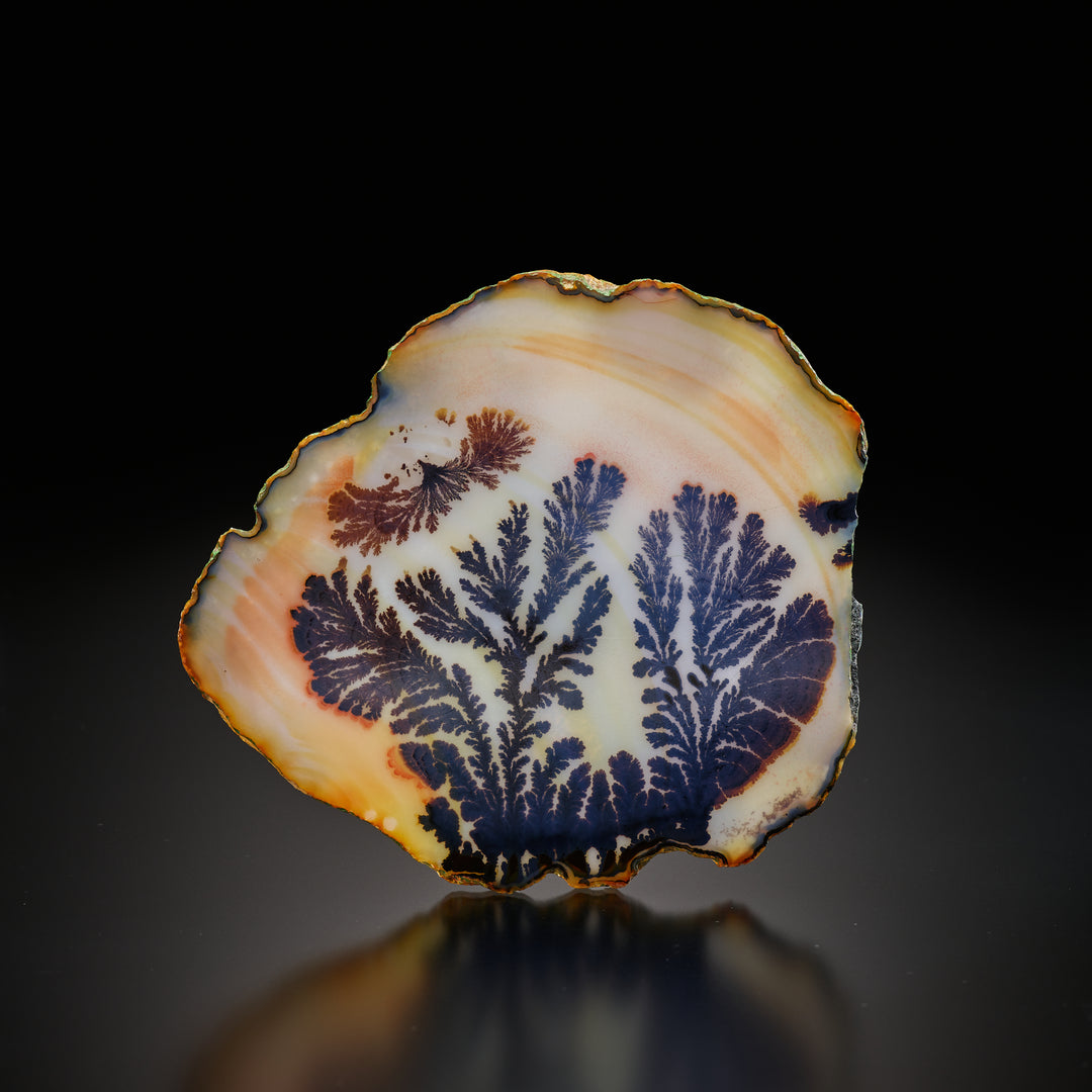 Dendritic agate natural slice