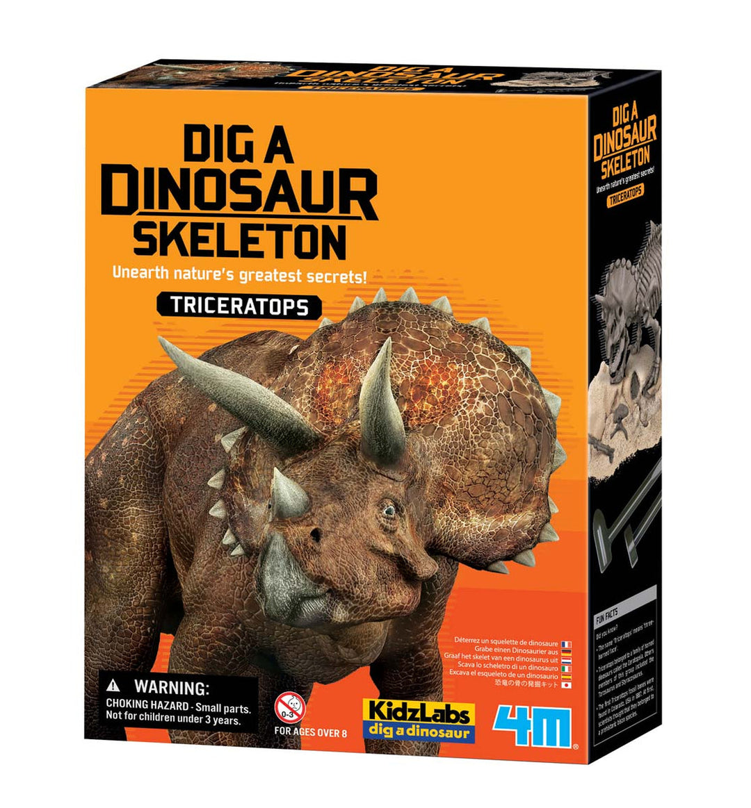 Dig a Dino Series