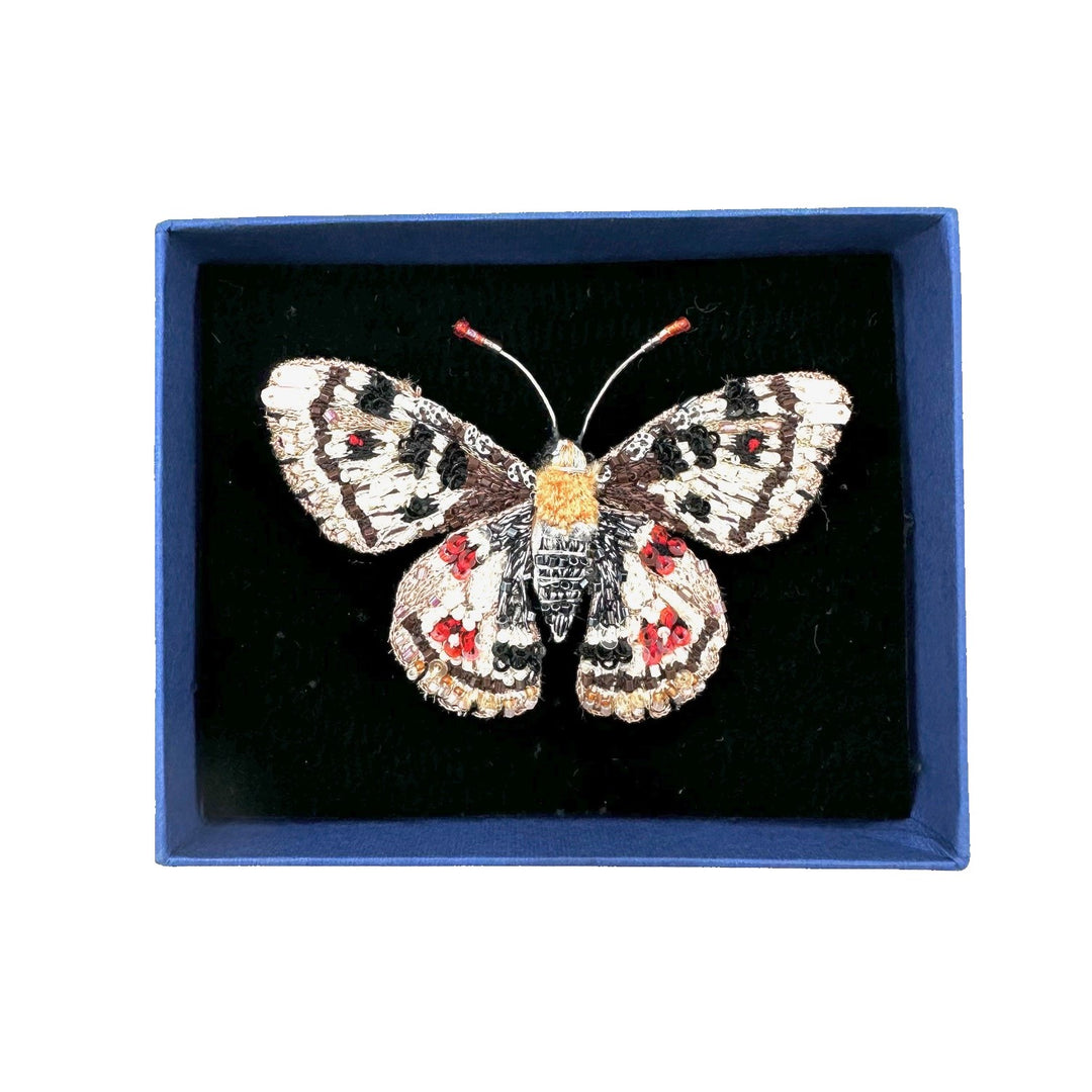 False Apollo Butterfly Brooch Pin