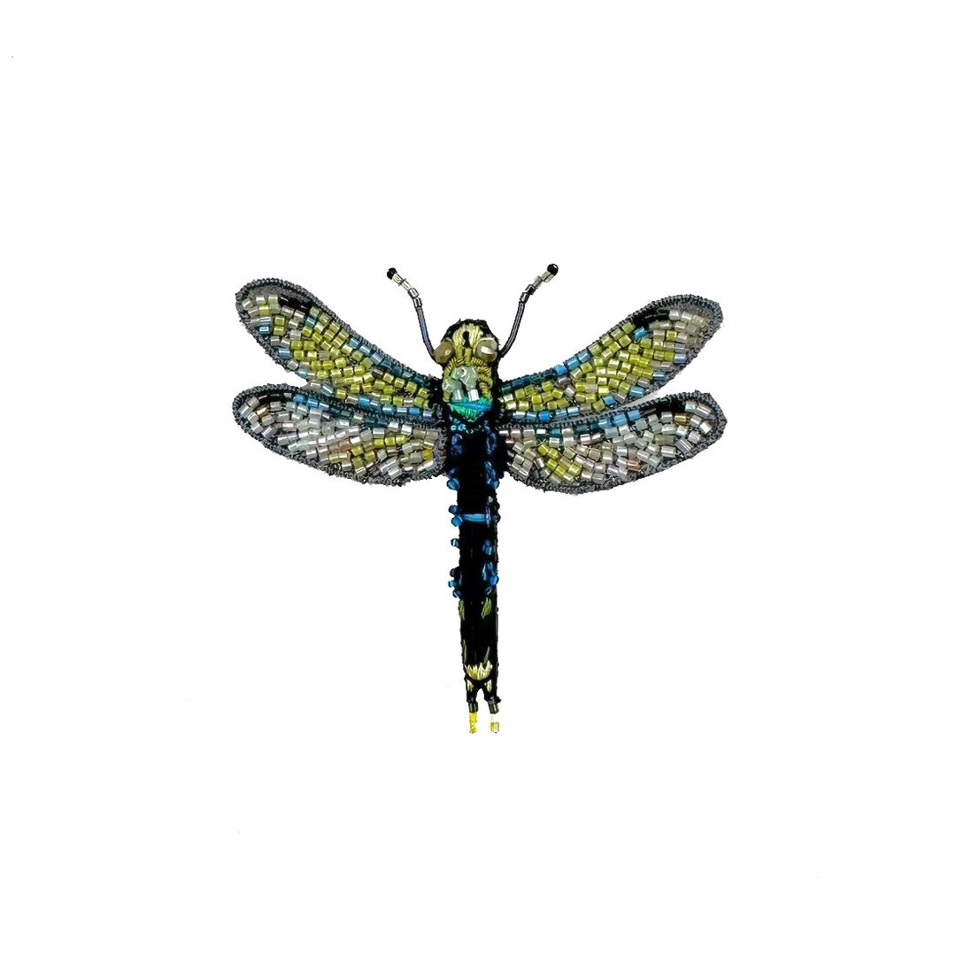 Common Hawker Dragonfly Brooch Pin