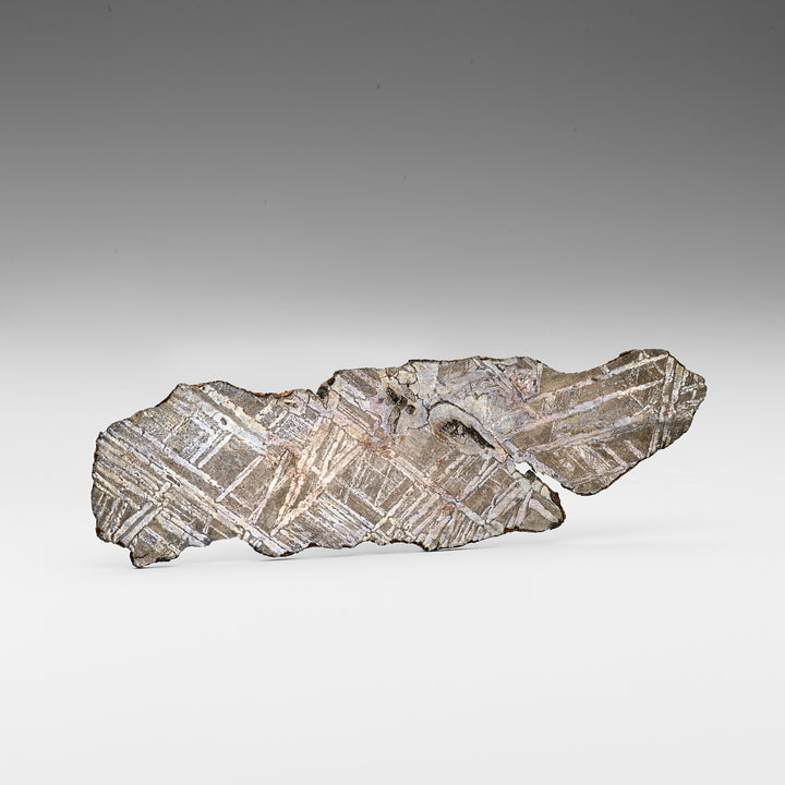 Seymchan Meteorite