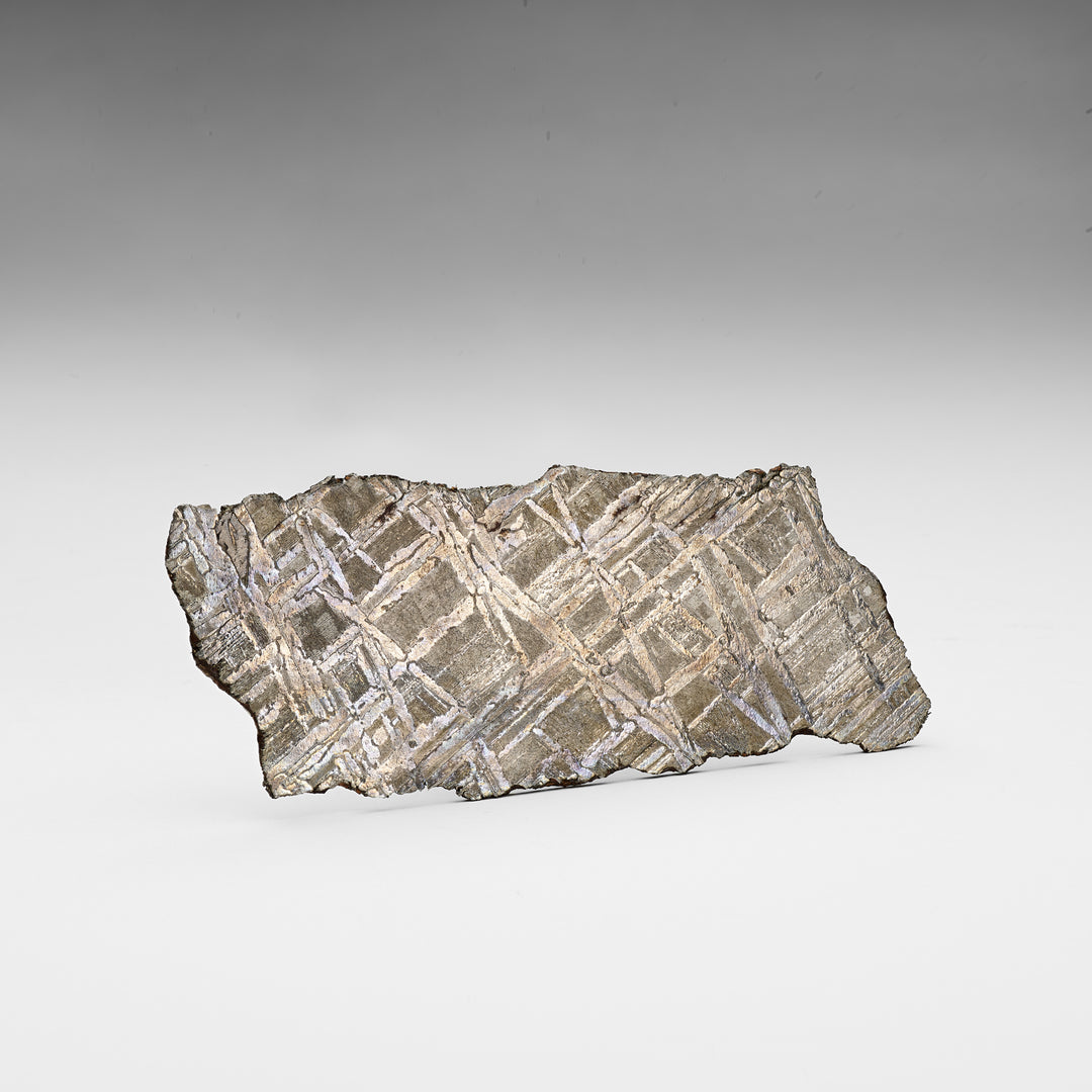 Seymchan Meteorite