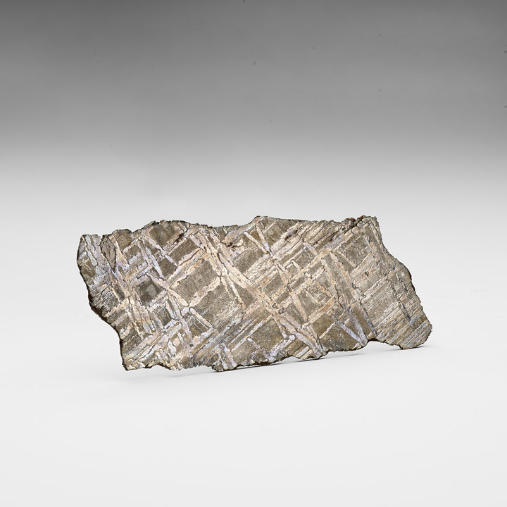 Seymchan Meteorite