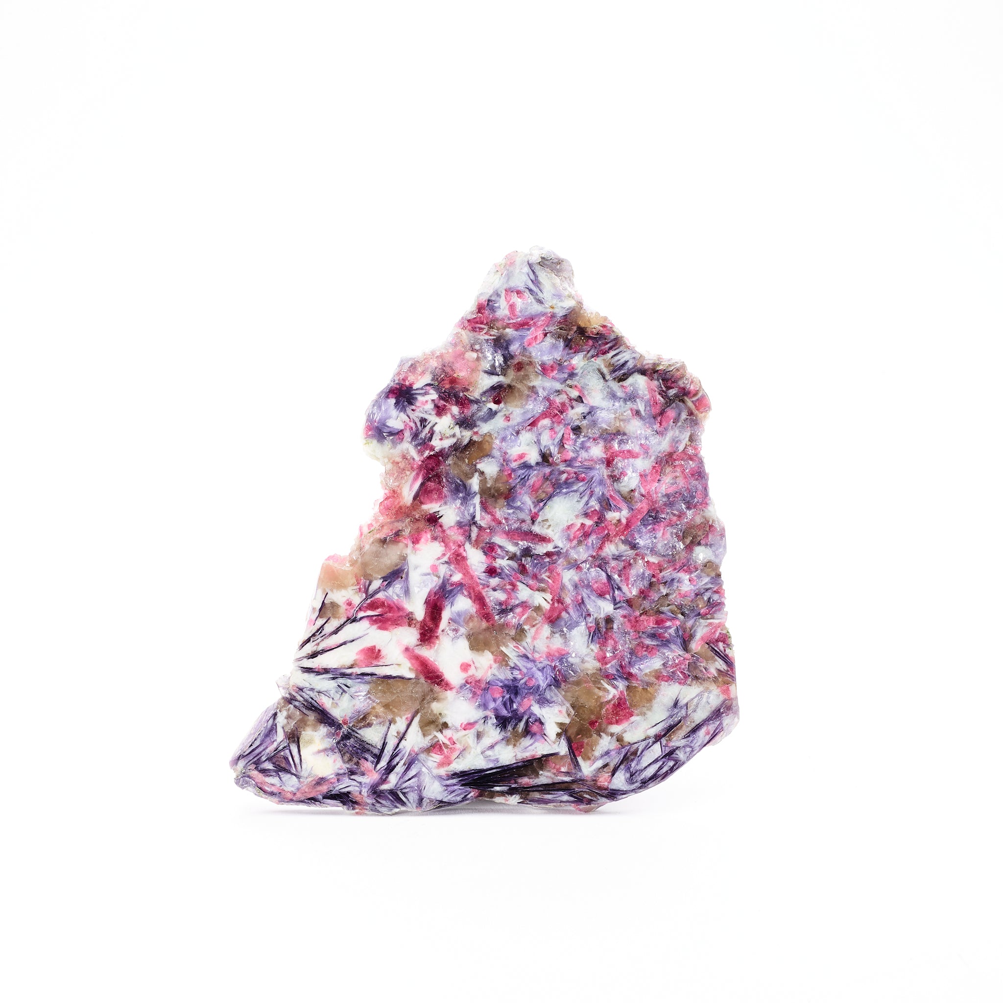 森*田様 Echinodorus sp. 'Jurua Tourmaline' 森*田様 Echinodorus sp. 'Jurua Tourmaline' Jade Hormanii