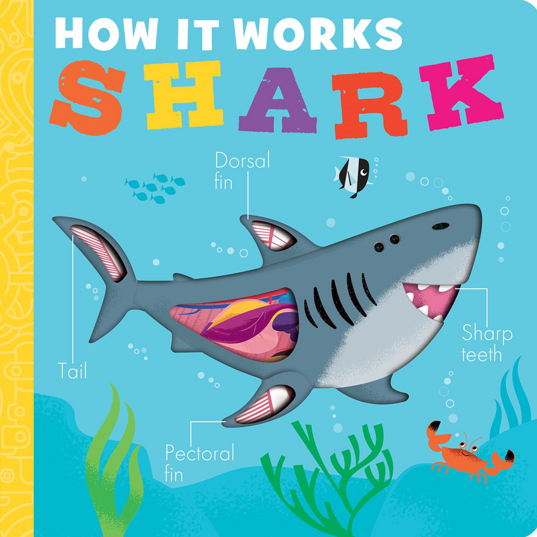 How It Works: Shark