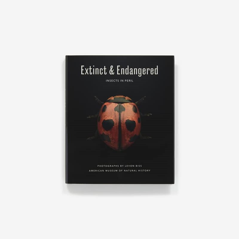 Extinct & Endangered: Insects in Peril – Houston Museum of Natural Science