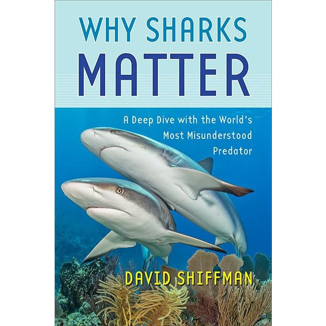 Why Sharks Matter