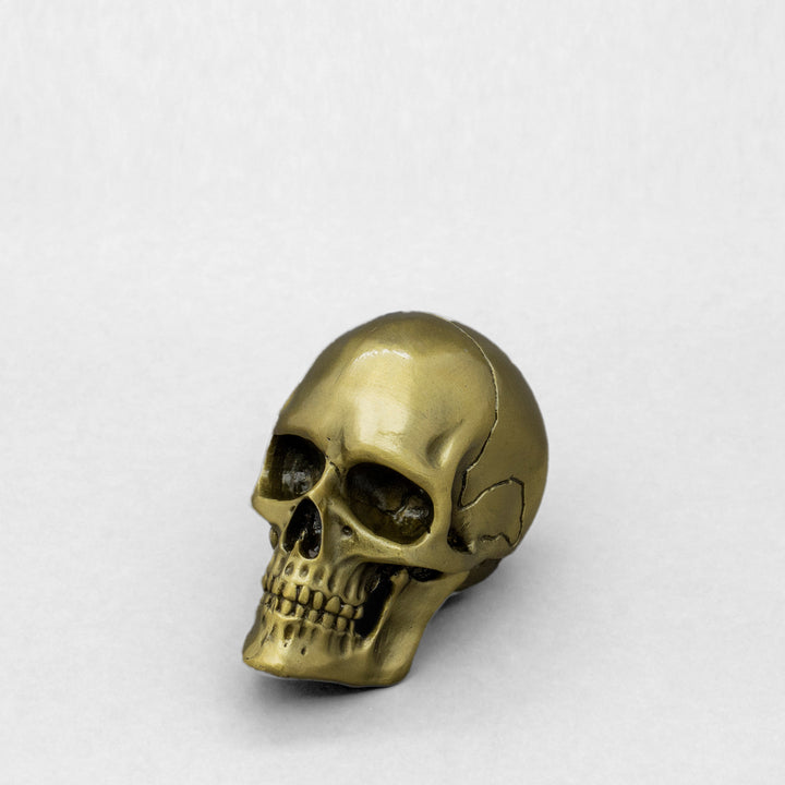 Crack One Open Skull Bottle Opener