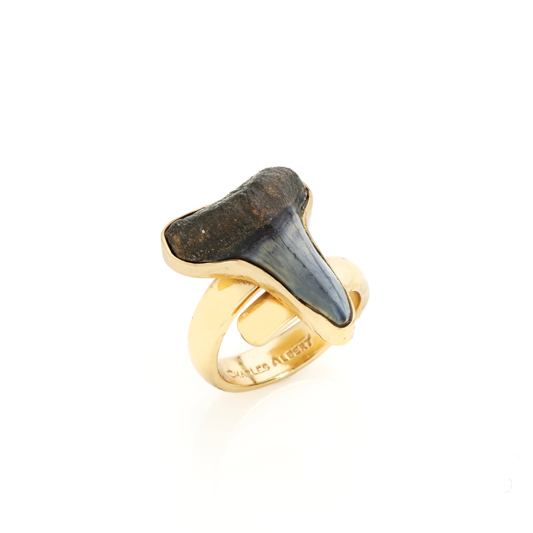 Alchemia Mini Shark Tooth Ring