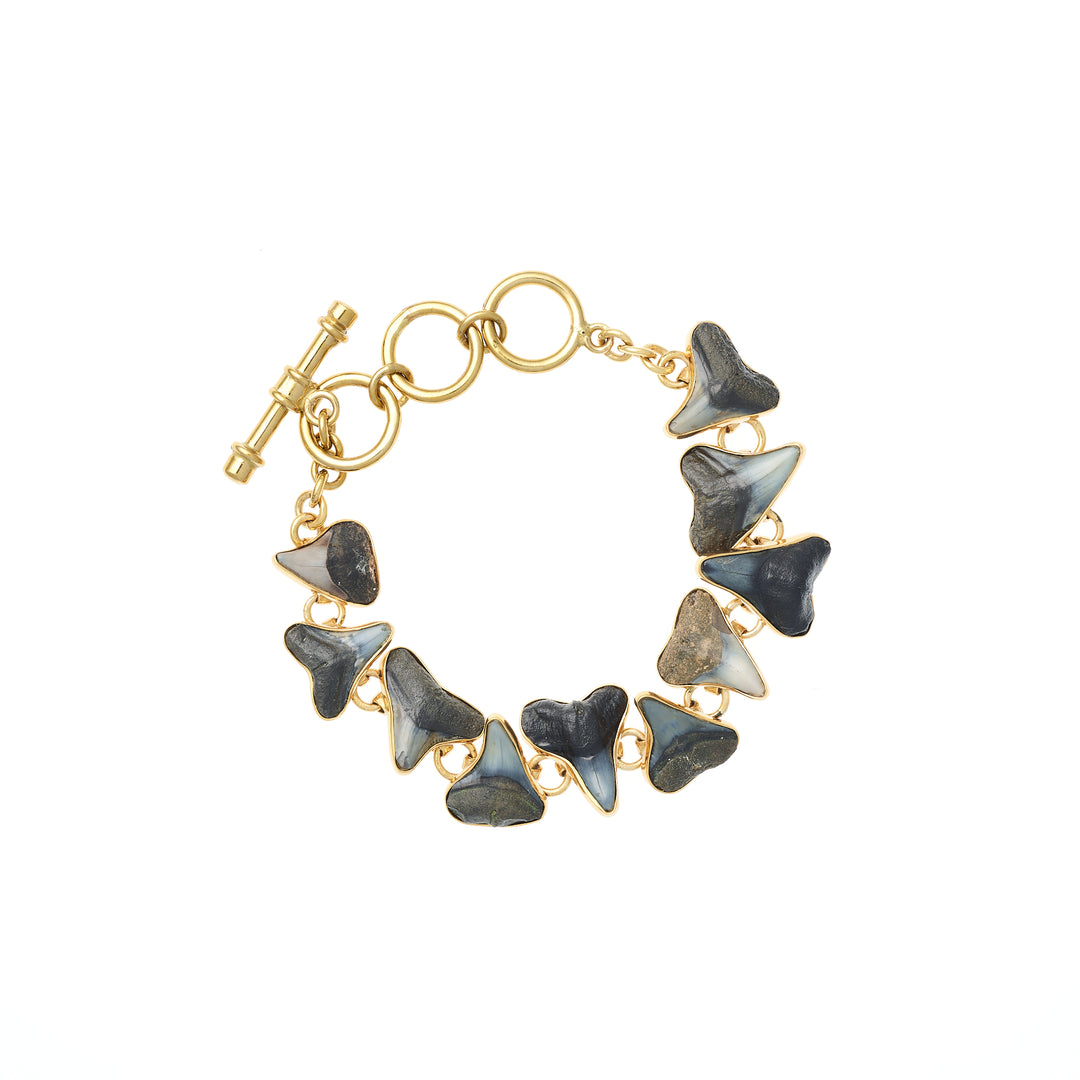 Alchemia Shark Teeth Fossil Bracelet