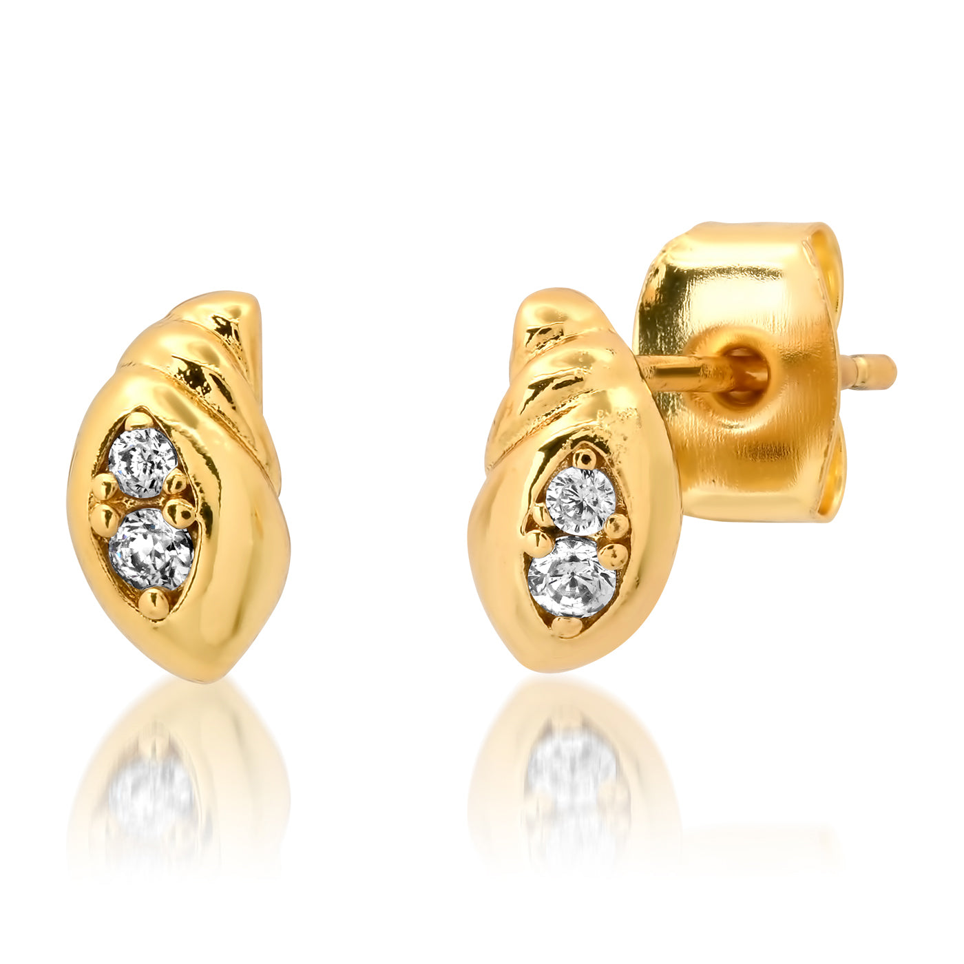 Conch Shell Studs – Houston Museum of Natural Science