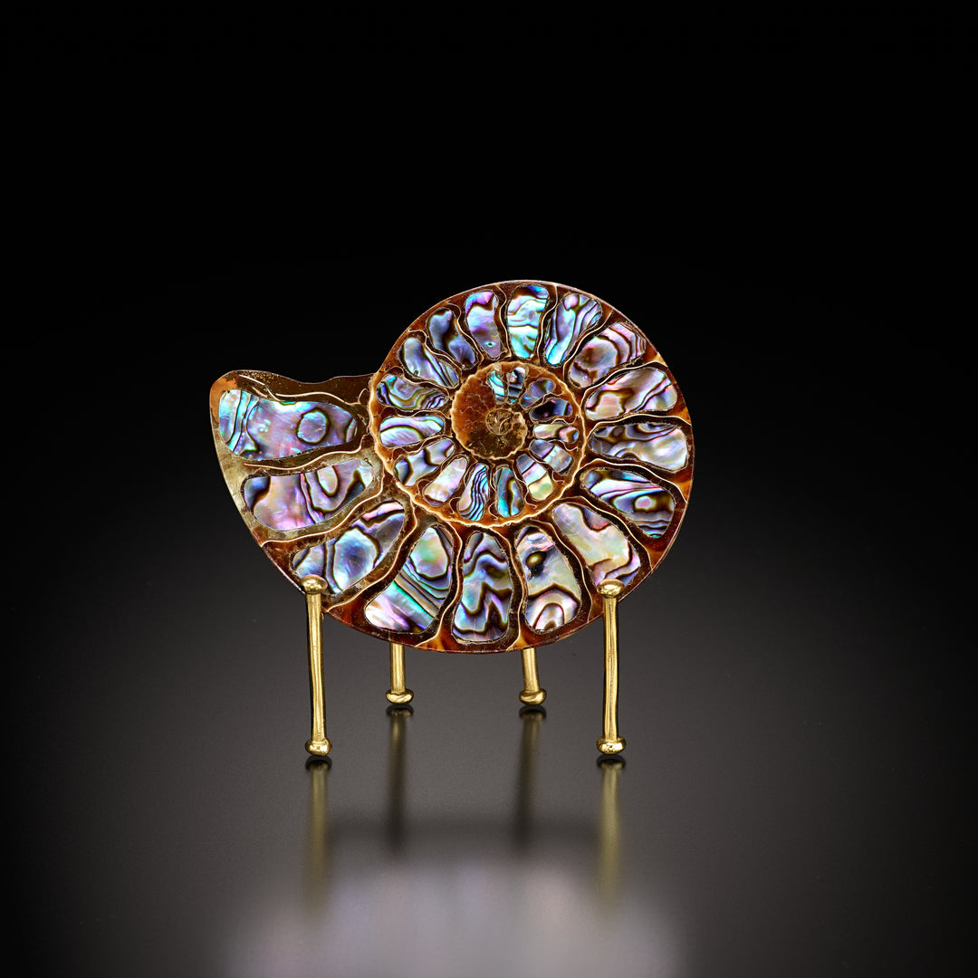 Ammonite with Abalone Shell Inlay