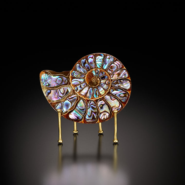 Ammonite with Abalone Shell Inlay