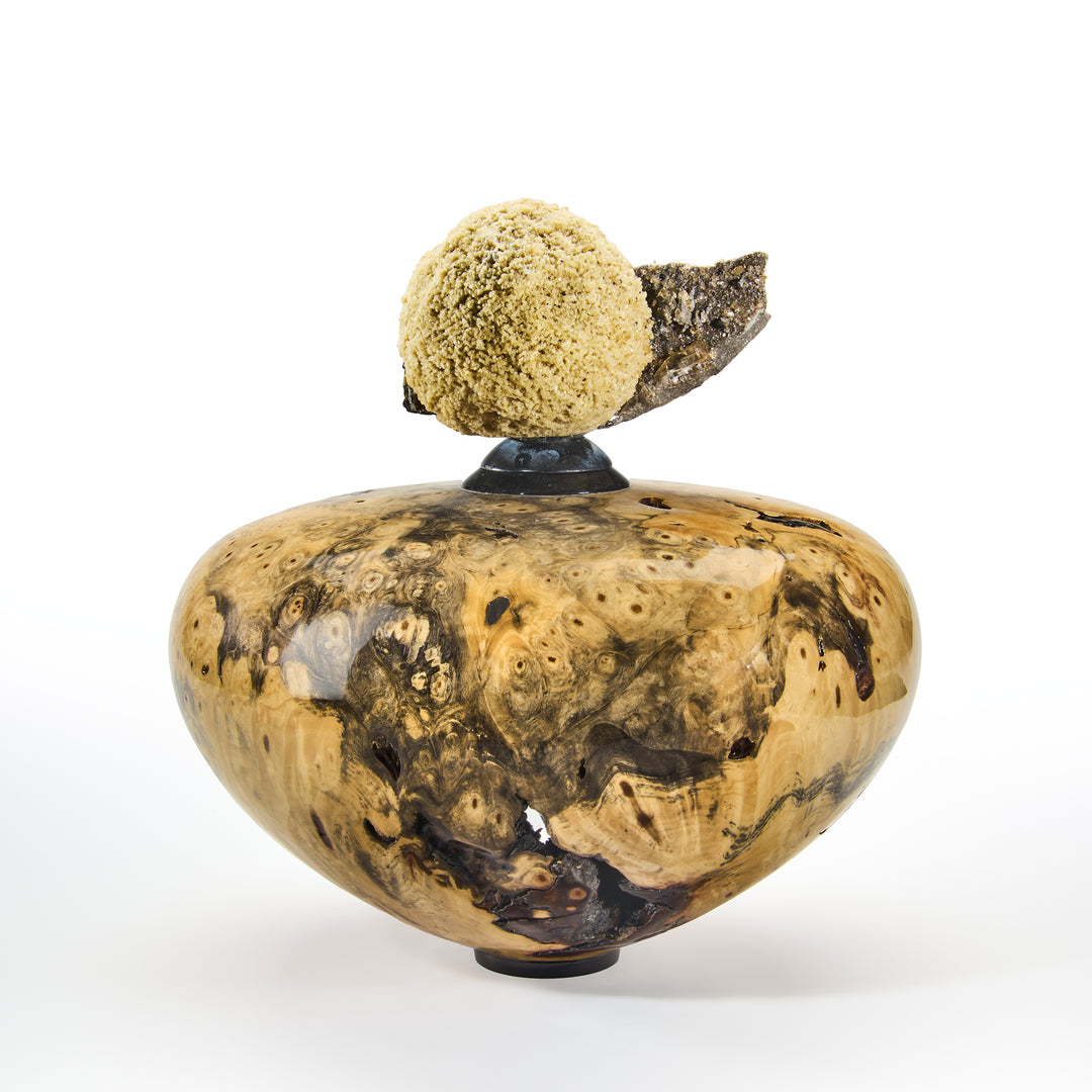 Northern California Buckeye Burl with Calcite