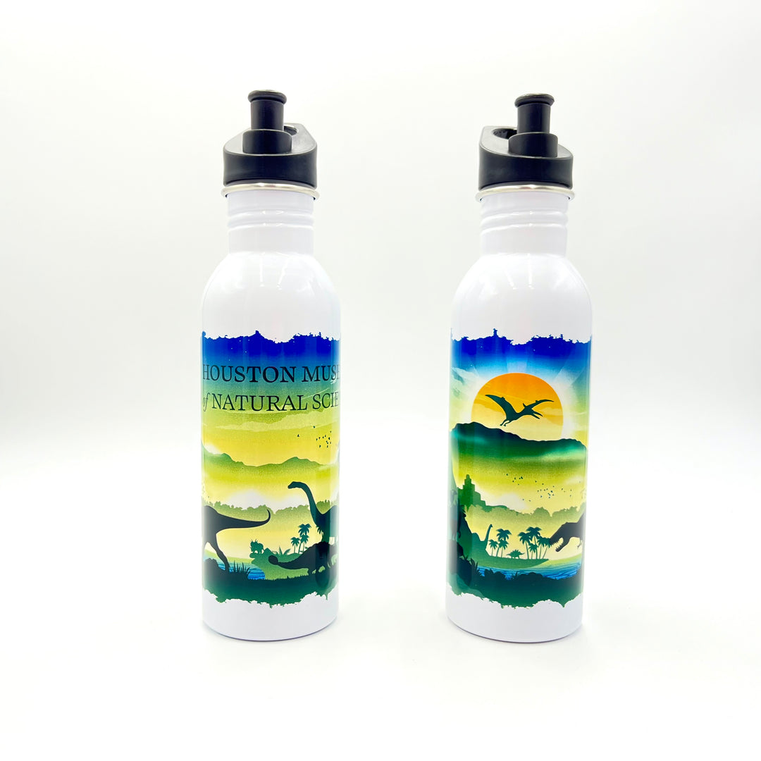 HMNS Dinosaur World Landscape Bottle- 26oz