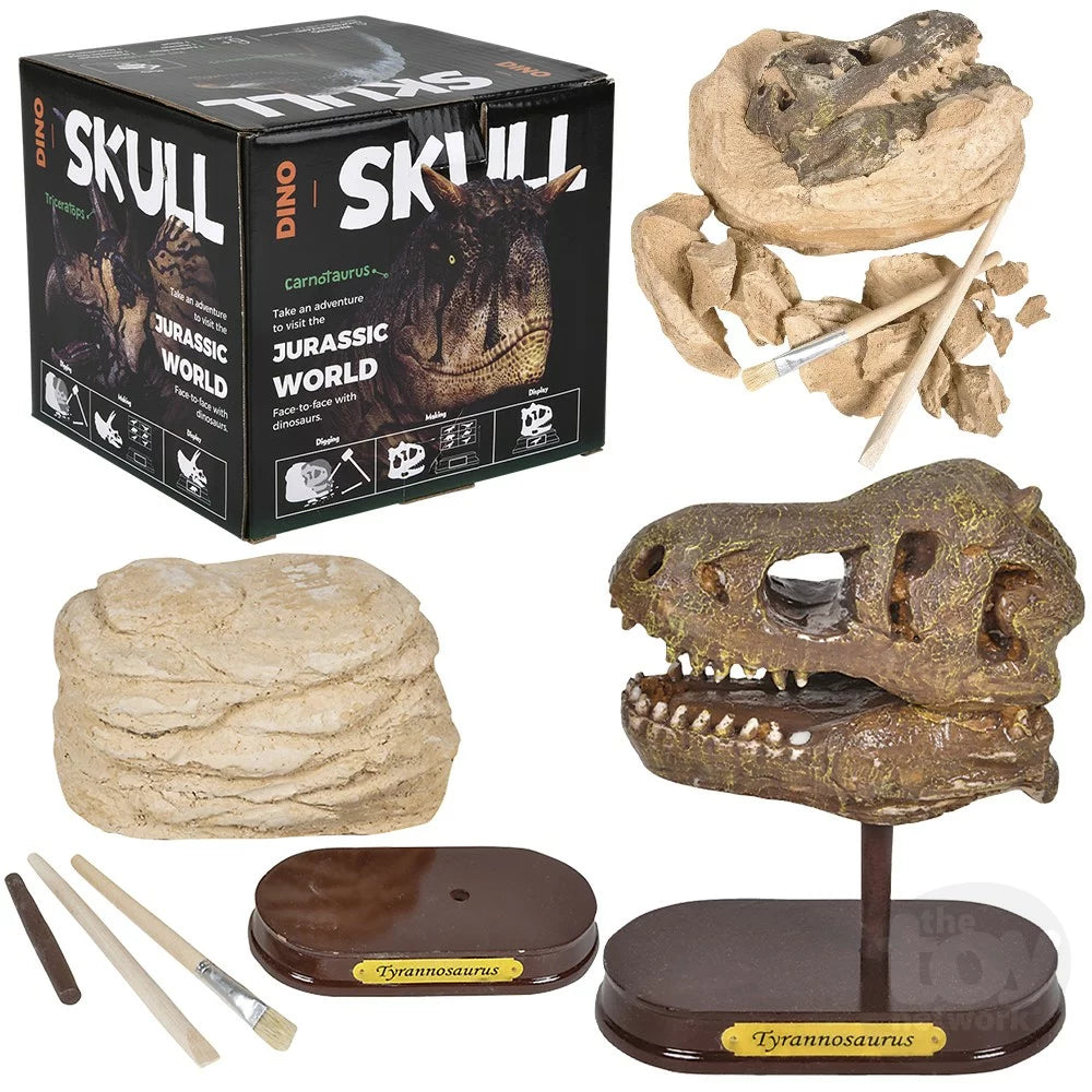 T.Rex Skull Excavation Kit